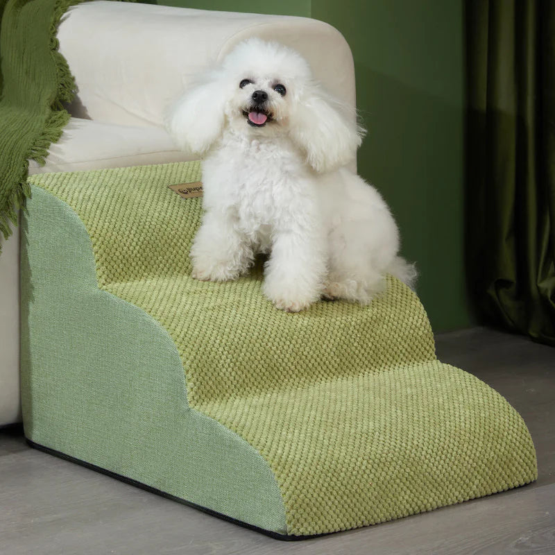 Pets Corner - Cats & Dogs
